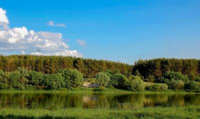 В Рязанской области найдено тело пропавшего две недели назад мужчины