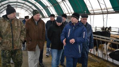 В Пителино появится новый животноводческий комплекс