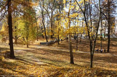 Рязанцев приглашает на третий общегородской субботник
