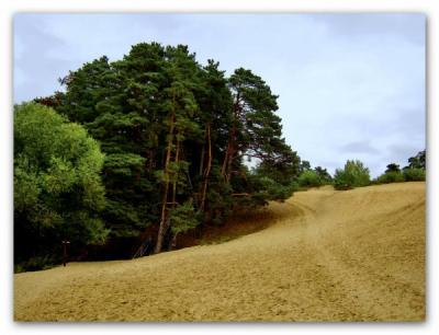 В Солотче пройдёт традиционный XC-триатлон