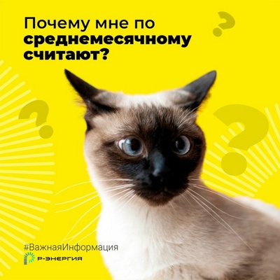 «Р-Энергия» напомнила рязанцам о правилах начисления платы за электроснабжение