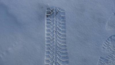 В Клепиковском районе велосипедного вора выдали следы