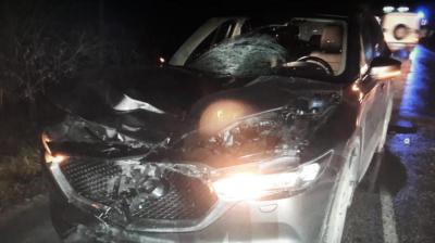 В Клепиковском районе под колёсами иномарки погибла женщина