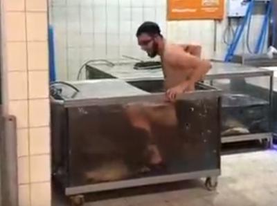 В гипермаркете «Глобус» молодой человек искупался в аквариуме