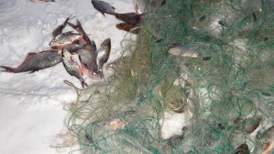 У рязанских браконьеров отобрали 1,7 километра сетей