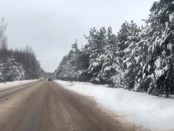 Рязанцам пояснили, когда появится остановка у биатлонного комплекса «Алмаз» под Рязанью