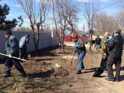 В Голенчино высажена вишнёвая аллея