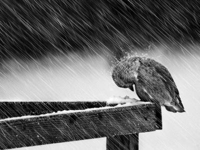 В Рязанской области ухудшится погода