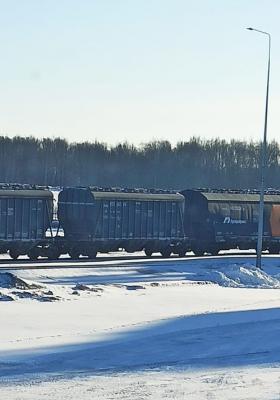 Фото: группа «РяженкА» в соцсети «ВКонтакте»