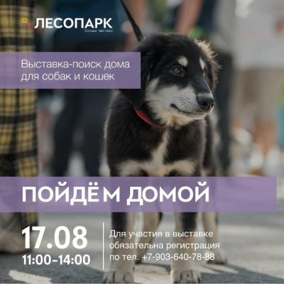 В Лесопарке Рязани состоится выставка-поиск дома для собак и кошек