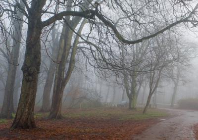 На Рязанщине похолодает до семи градусов