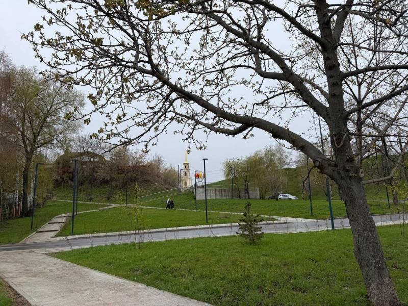 Рязанцев приглашают поучаствовать во Всероссийском конкурсе «Семья года»