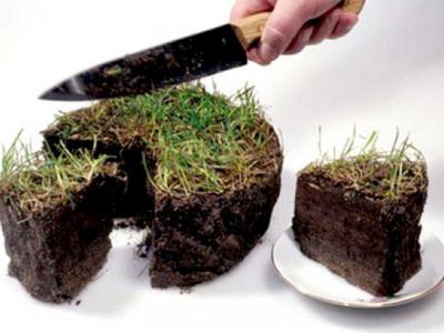 Рязанец отдал почти два миллиона рублей долга, чтобы не лишиться земли