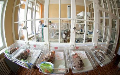 Рязанщину пополнили две сотни малышей