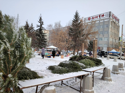 В Рязани заработали ёлочные базары