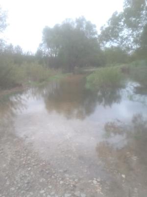 В Скопинском районе подтопило мост через реку Ранова