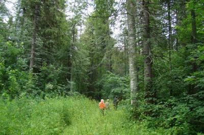 С начала года в Рязанской области пропало 50 пенсионеров