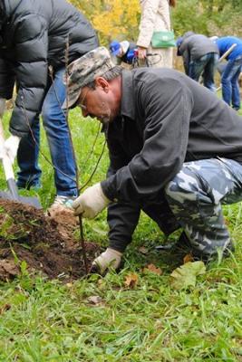 Садоводы из Рязани и Самары укоренили яблони