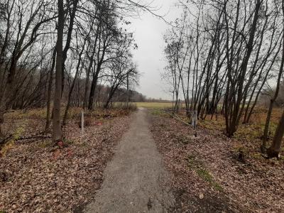 Эксперты ОНФ просят власти не торопиться со строительством школы в Лесопарке