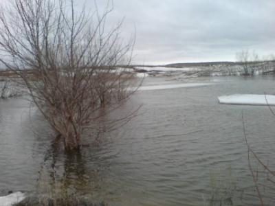 На Оке в черте Рязани уровень воды понизился на восемь сантиметров