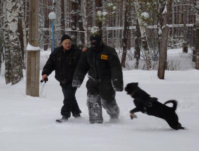 Спецназ рязанских наркополицейских приехал в детский лагерь