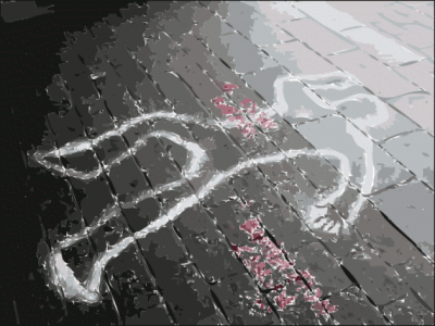 Жителя Михайловского района осудили на 19 лет за убийство соседки и знакомого