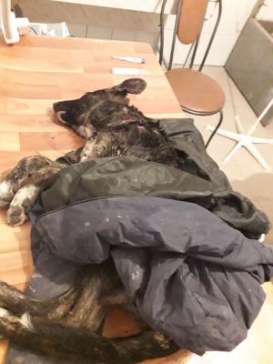 фото группы 