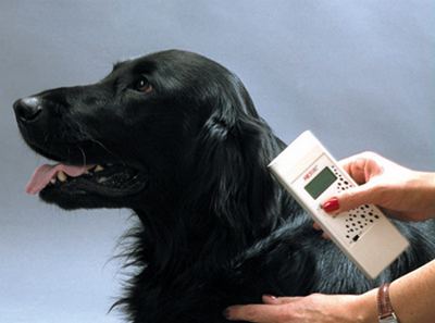 Рязанская горветстанция прочипировала более 70 животных