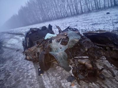 Два человека погибли в ДТП с грузовиком в Александро-Невском районе