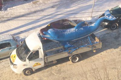 На улице Праволыбедской замечено редкое для Рязани животное