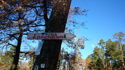 «Тропу Паустовского №1» в Солотче пытаются уничтожить