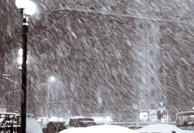 В Рязанском регионе ожидают метель и гололедицу