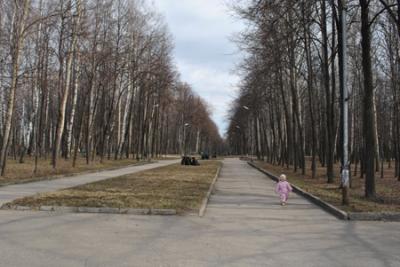 Рязанский ЦПКиО приведут в порядок