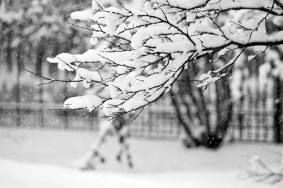 Ночью на Рязанщине похолодает до минус 9 градусов