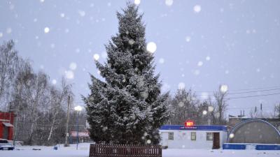 Центральную площадь Путятино украсила ёлка