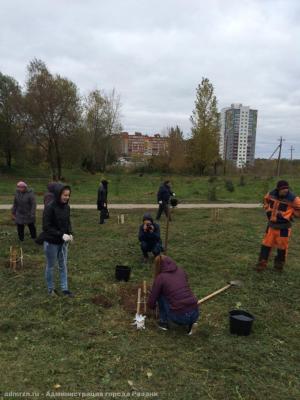 В Дашково-Песочне посадили 30 саженцев дуба
