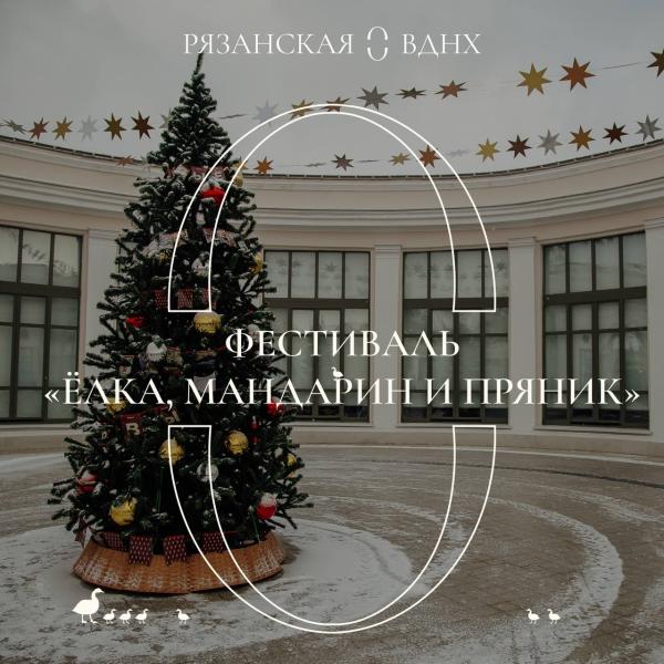 На Рязанской ВДНХ покажут новогодний спектакль