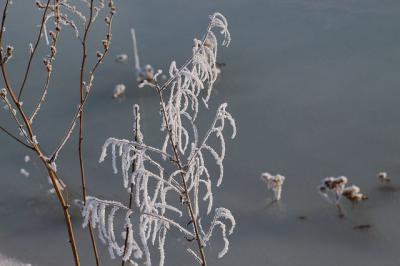 В Рязанской области похолодает до минус 7 градусов