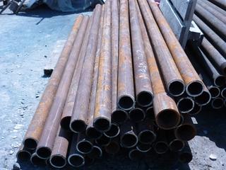 У спасской пенисонерки с приусадебного участка похитили металлические столбы