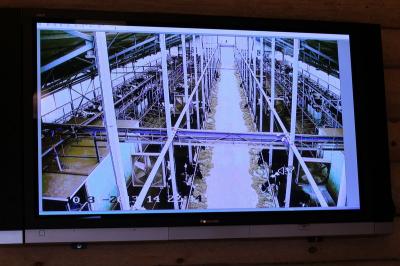 В Рязанской области заработает самая крупная в стране роботизированная ферма