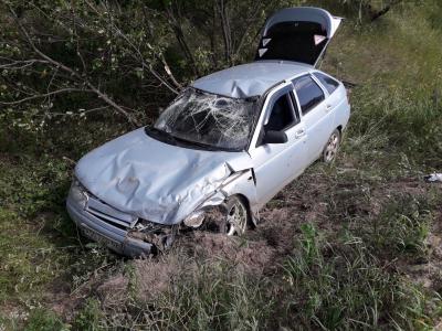 Фото: пользователь соцсети «ВКонтакте» Ирина Данюкова