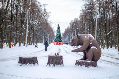 Рязанцы выбрали прозвище лесопарковому мишке