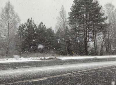 В Спас-Клепиках начался снегопад