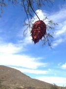 mXtnTA44odU.jpg title=