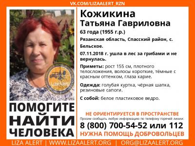 Появились подробности пропажи жительницы села Бельское Спасского района