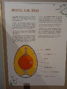 1000053335.jpg title=