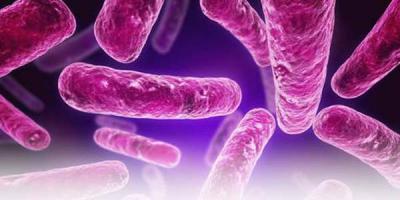 В полуфабрикатах гипермаркета «Лента» в Рязани обнаружены бактерии листерии