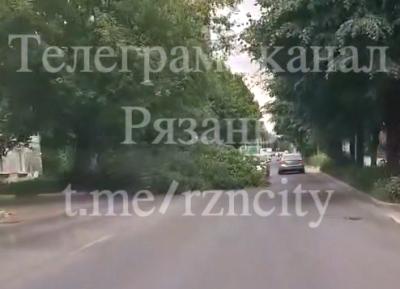 На улице Весенней в Рязани рухнуло дерево