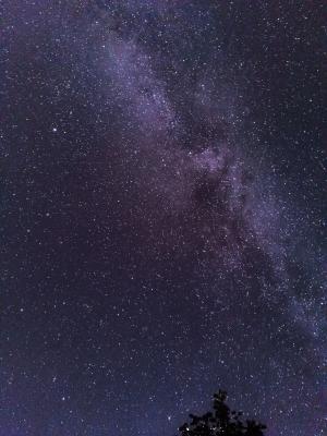 Фото: пользователь соцсети «ВКонтакте» Жена Тейлор