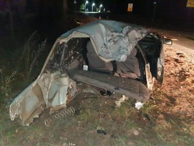 В Рязани ВАЗ-21099 въехал в дерево, пострадали два человека